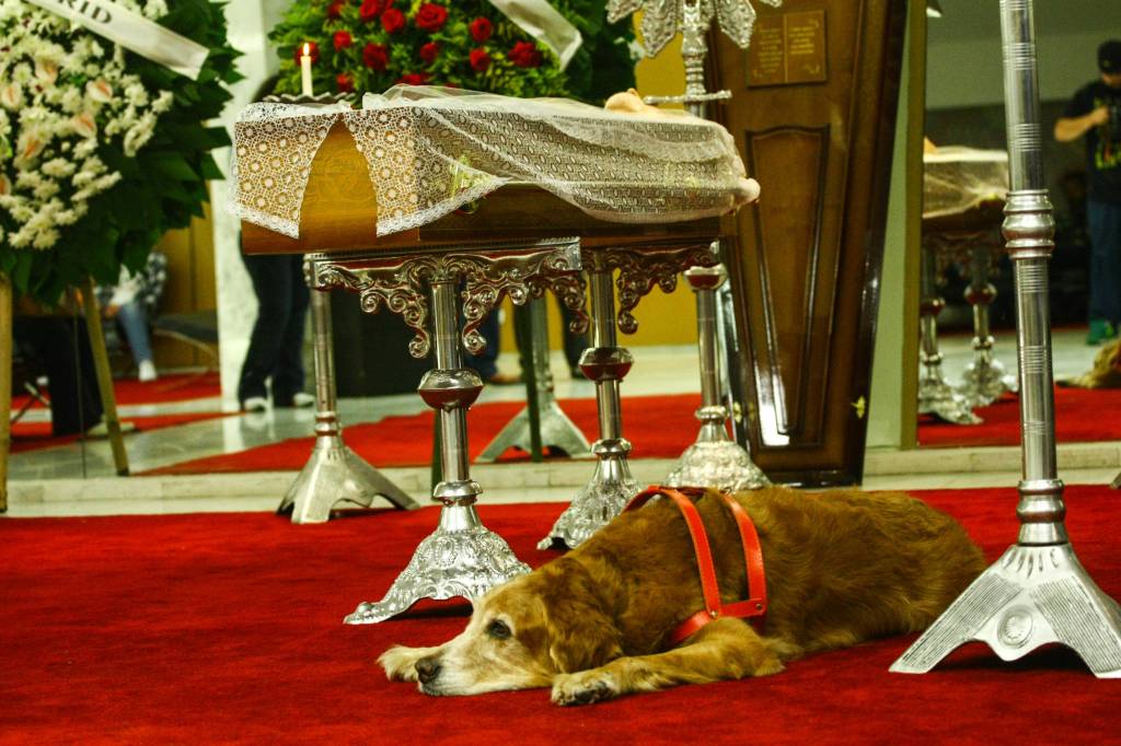 Cão de Kid Vinil emociona em velório