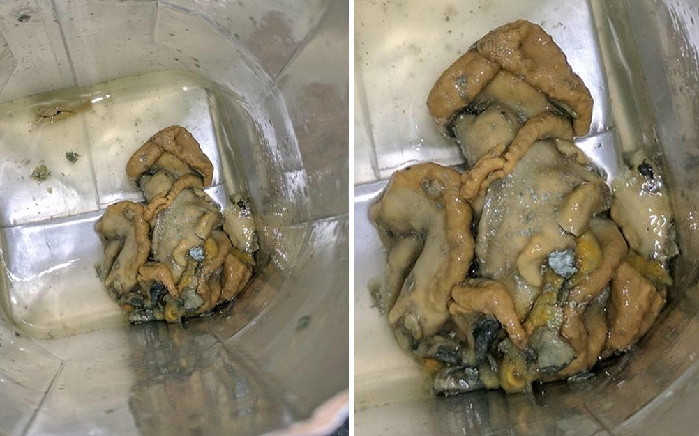 mofo-agua-de-coco-02