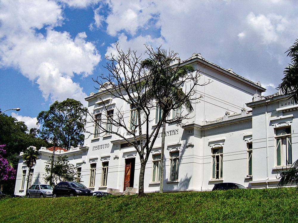 Instituto Butantan fecha acordo para produzir vacina contra chikungunya
