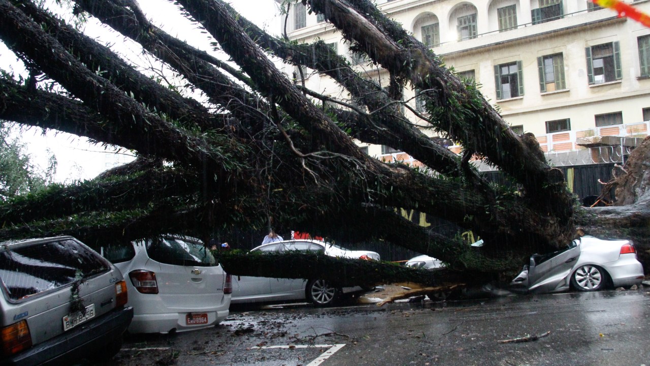 Queda de árvore na Rua Itapeva, em SP