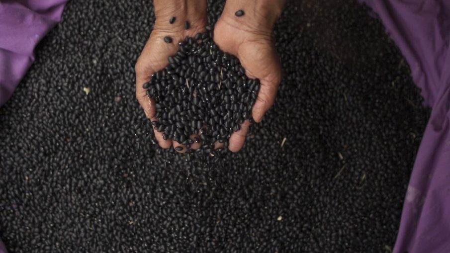 Fonte da Juventude Fonte da Juventude