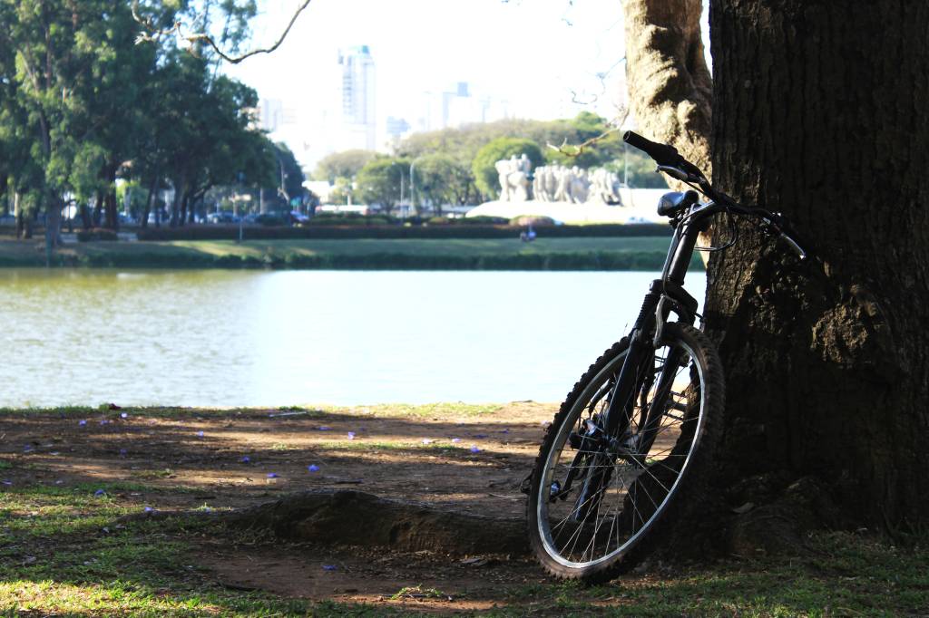 Ibirapuera e Trianon: duas joias dos Jardins