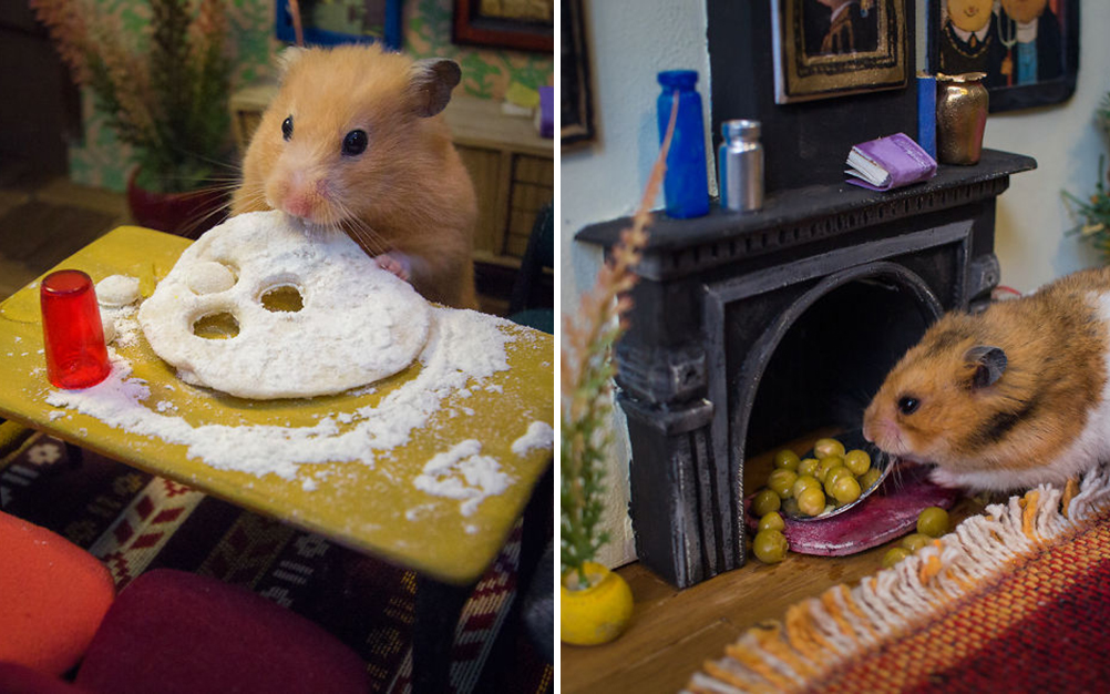 hamsters-famintos-vila-01