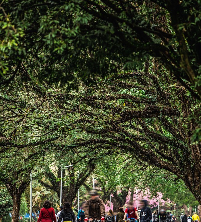 Ciclistas no Parque Ibirapuera.