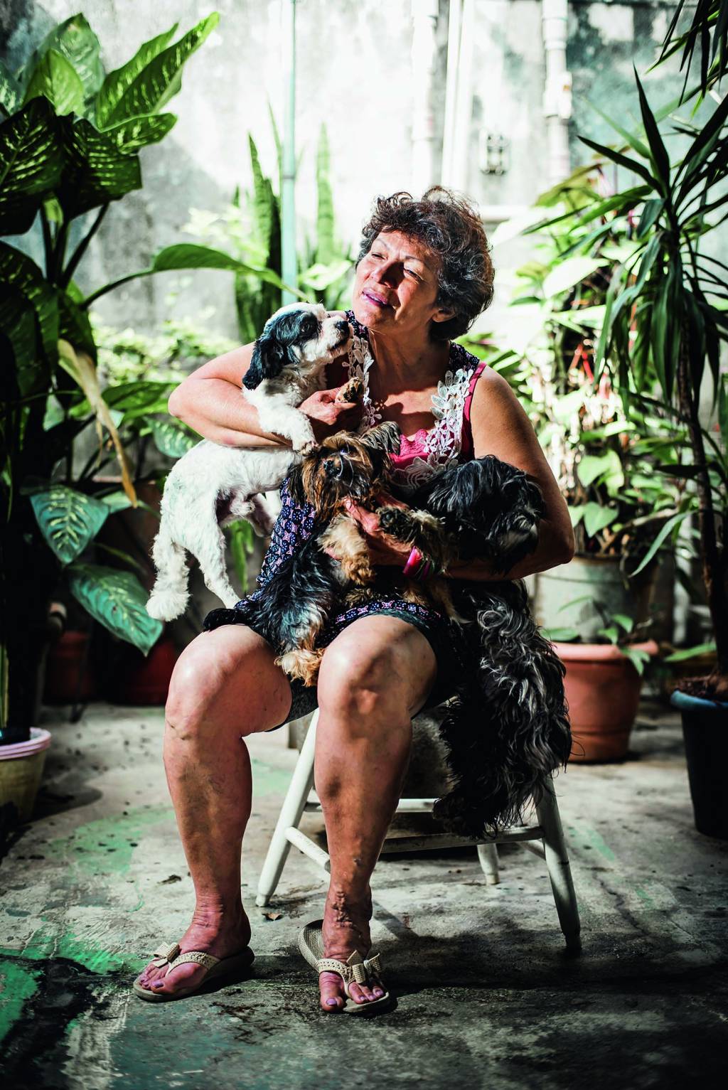 Conheça a mulher que resgata animais na Cracolândia