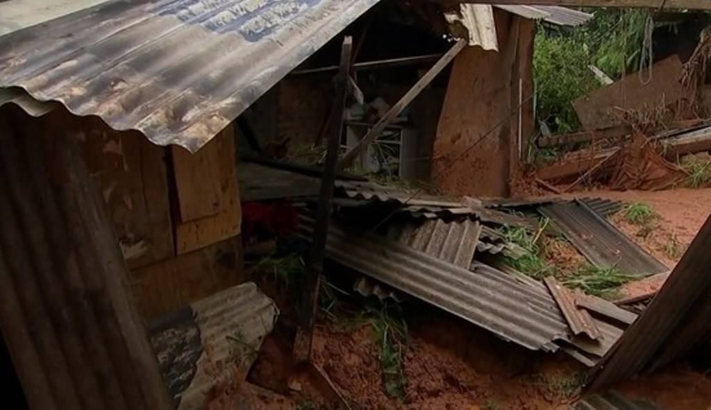 Cachorra morre após salvar família de deslizamento de terra