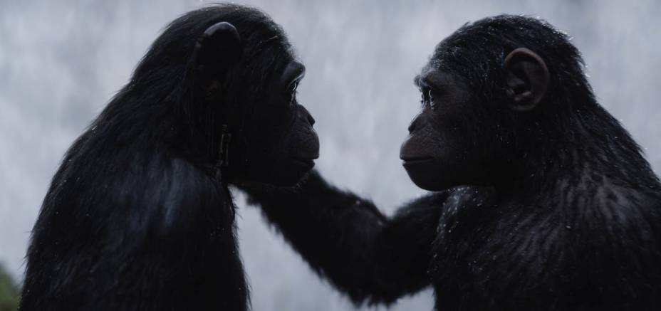 Planeta dos Macacos A Guerra