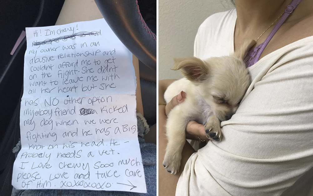 cachorro-abandonado-relacionamento-abusivo-02