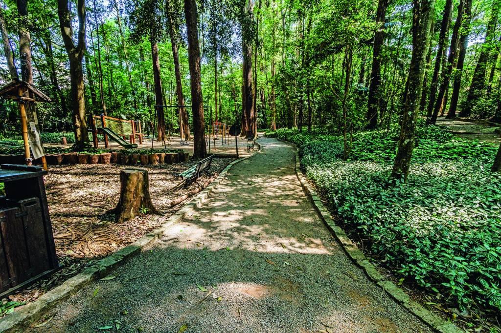 Os parques menos movimentados da cidade