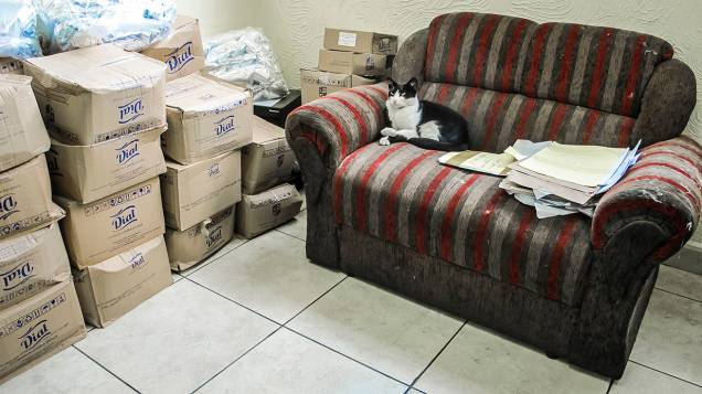 33&ordm; DP, em Pirituba: sala do delegado de plant&atilde;o tem pilha de caixas e at&eacute; gato