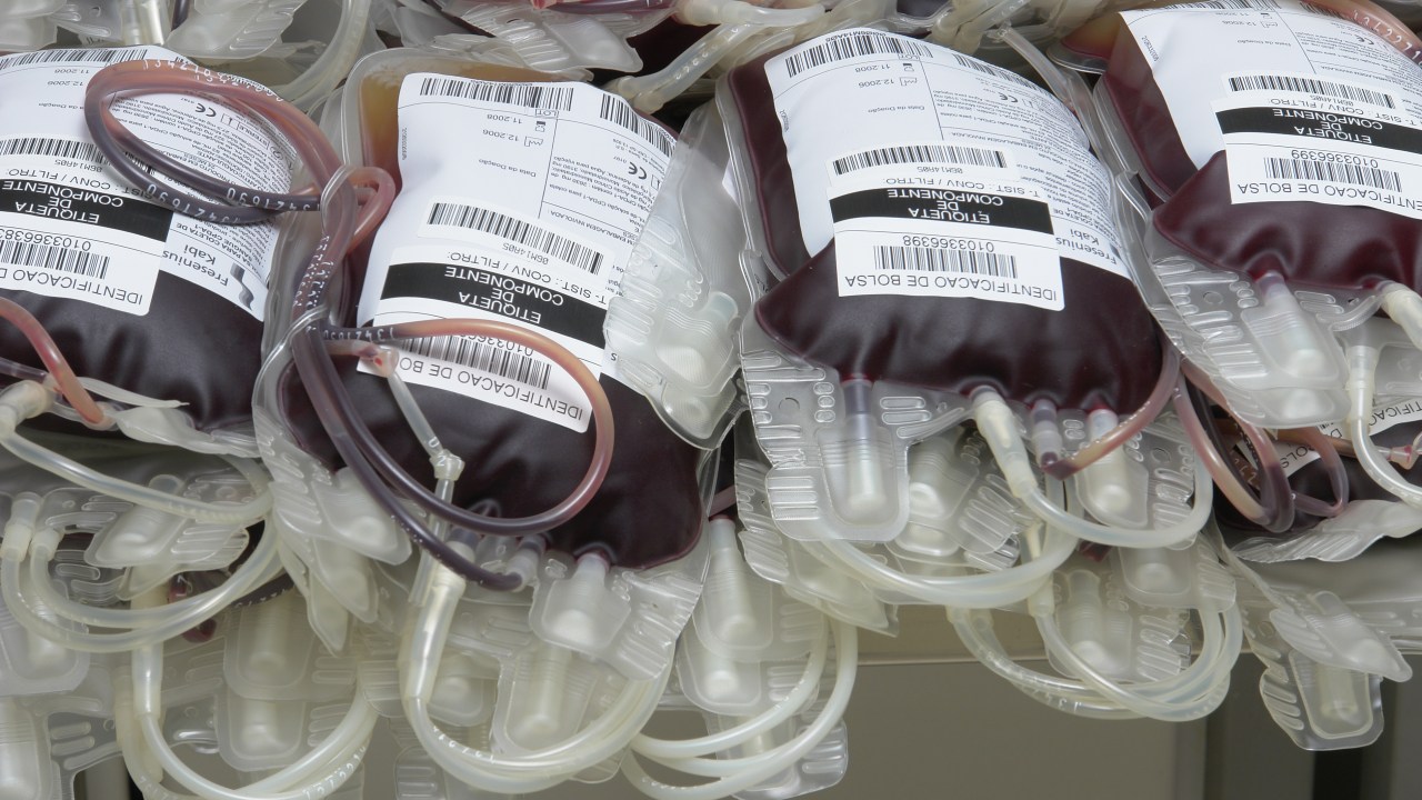 BOLSAS DE SANGUE