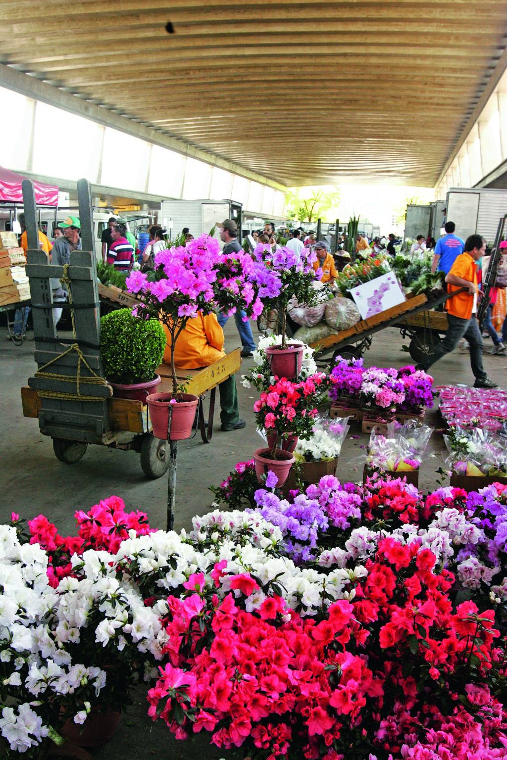 Cinco dicas para visitar a Feira de Flores da Ceagesp