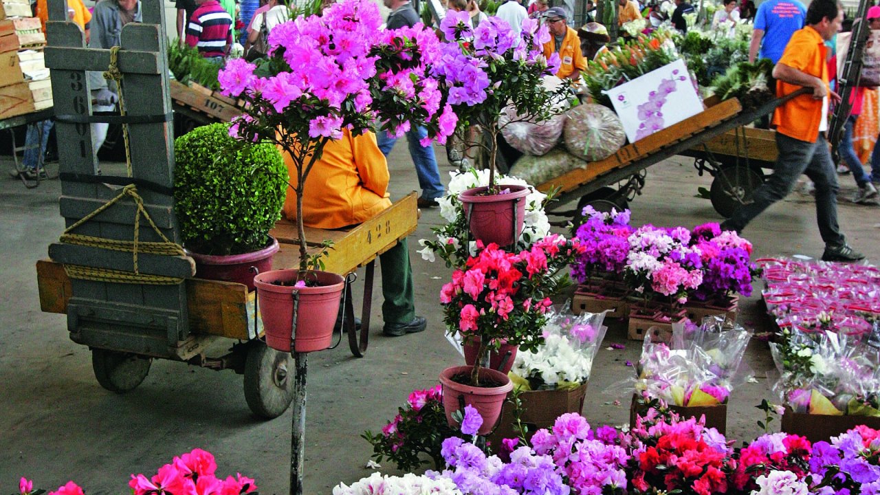 Feira de flores no Ceagesp