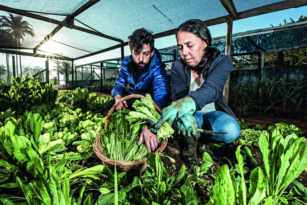 Dobra o número de empresas que entregam orgânicos em casa