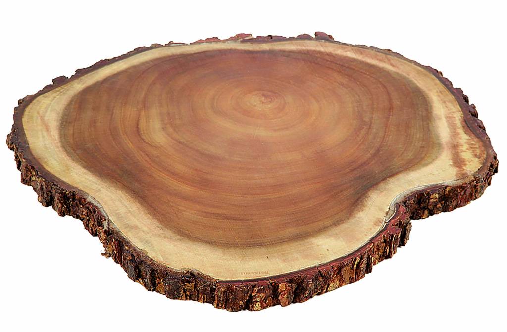 TOKSTOK – TORA TÁBUA