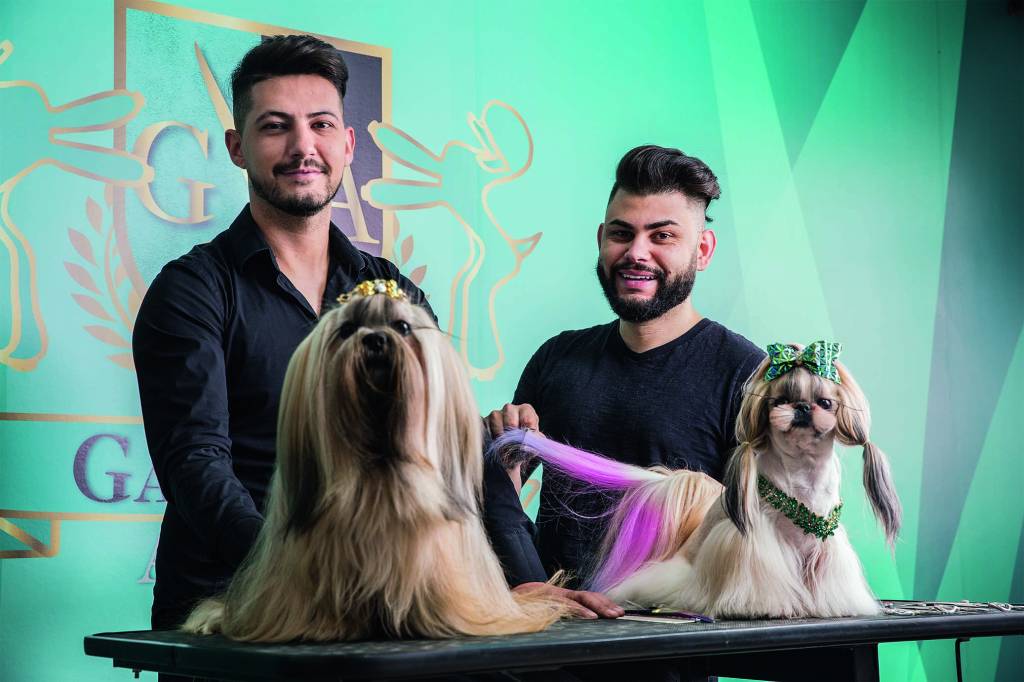 Premiado casal de groomers inaugura escola para profissionais