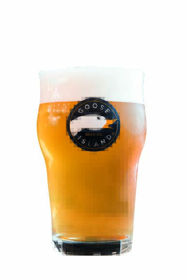 Piney Pils: dourado, pertence ao estilo german pilsner Piney Pils: dourado, pertence ao estilo german pilsner
