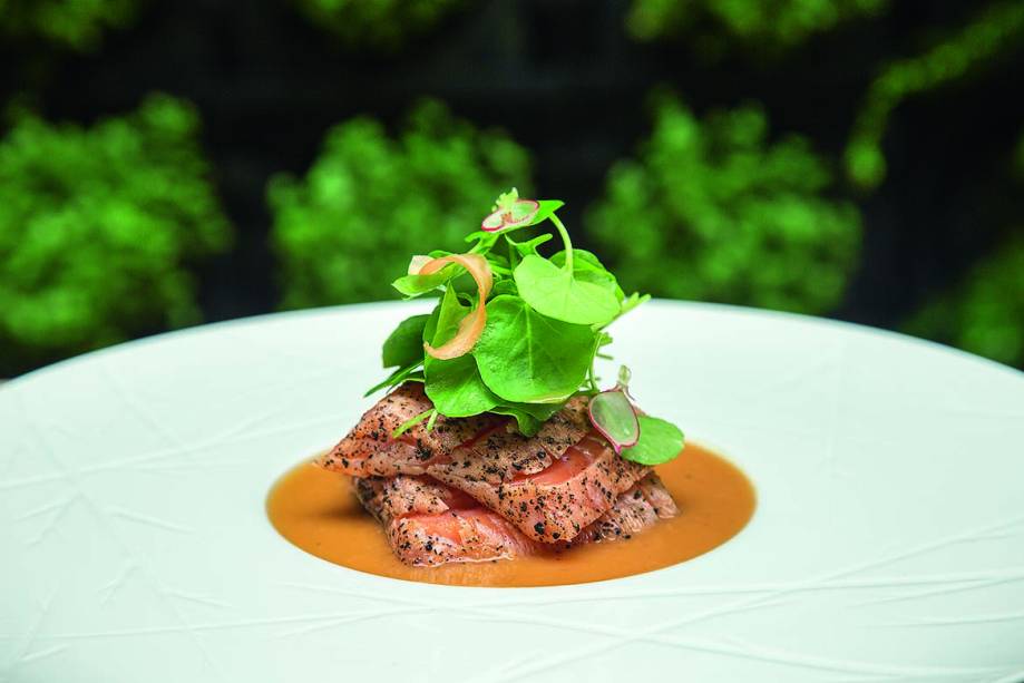 Salmão: selado com mostarda japonesa e servido com miniagrião Salmão: selado com mostarda japonesa e servido com miniagrião