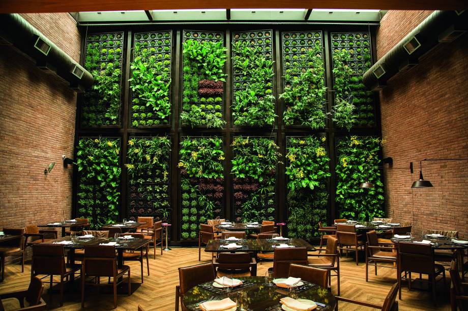 Jardim vertical: orquídeas, avencas e musgos na parede Jardim vertical: orquídeas, avencas e musgos na parede