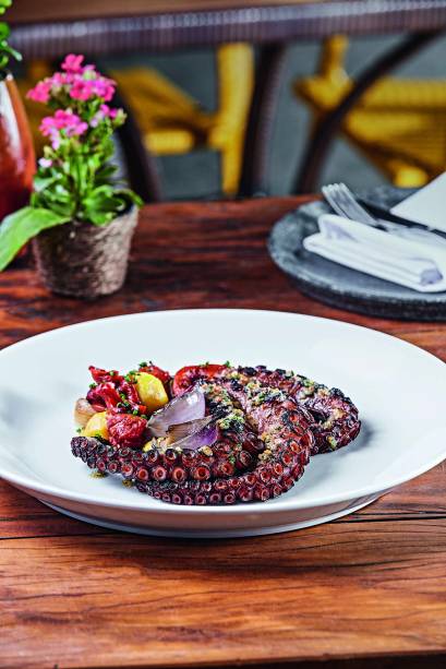 Polvo com salada de erva-doce e maçã verde Polvo com salada de erva-doce e maçã verde