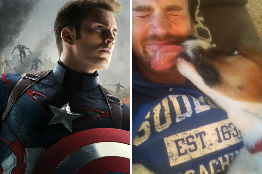 chris-evans-reencontro-cachorro-01