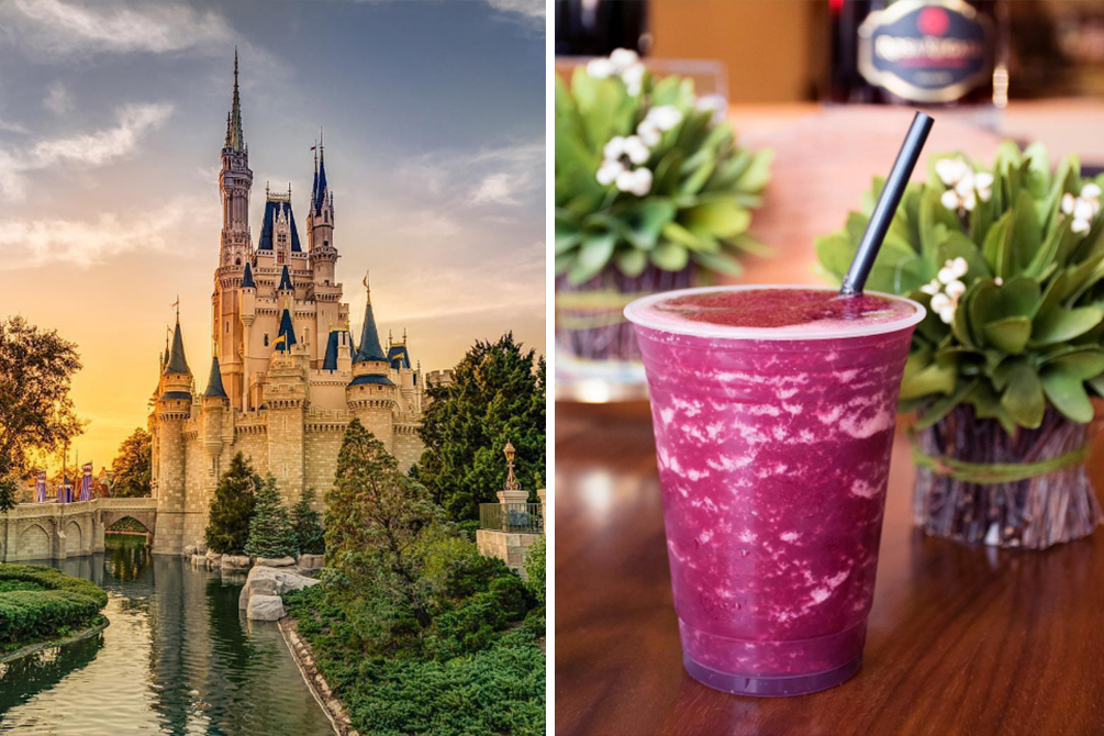 Drinque alcoólico do Walt Disney World faz sucesso no Instagram