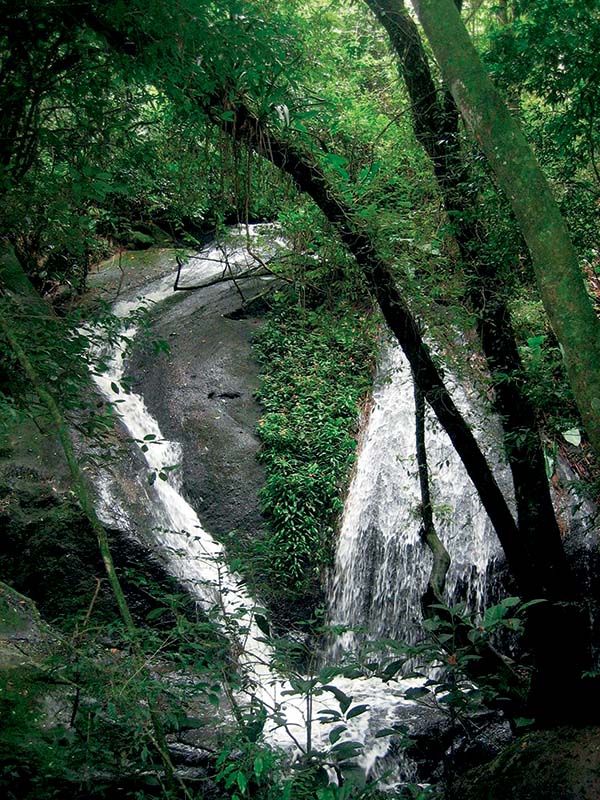 Parque estadual cantareira
