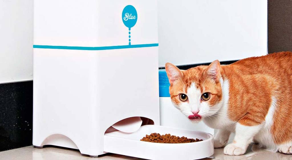 Comedouro automático para animais tem acionamento remoto