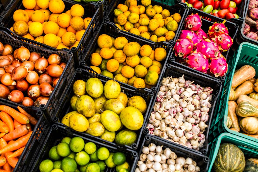 Rede Ecovida 2 – Gastronomia Orgânica