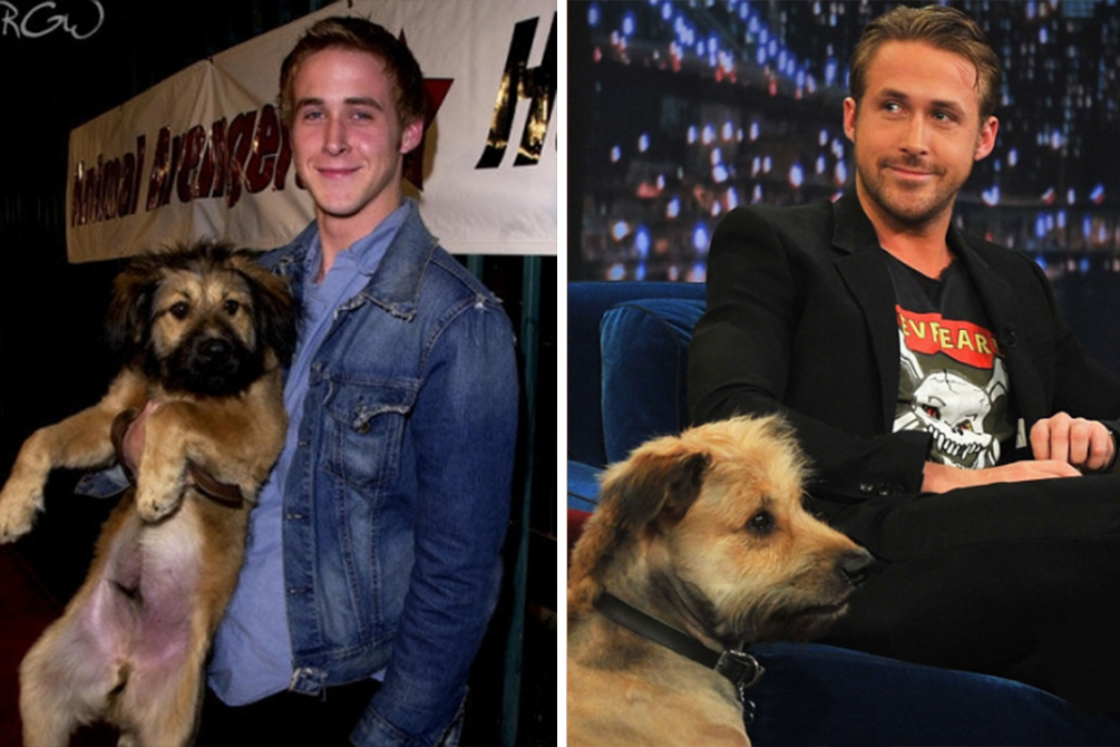 ryan-gosling-homenagem-cachorro-04
