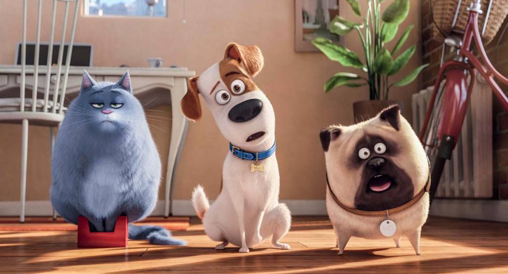 Os vereadores que votaram contra PL que prevê entrada de pets em hospital