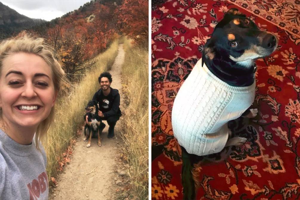 O cachorro deste casal “fingiu” estar doente para ser mimado