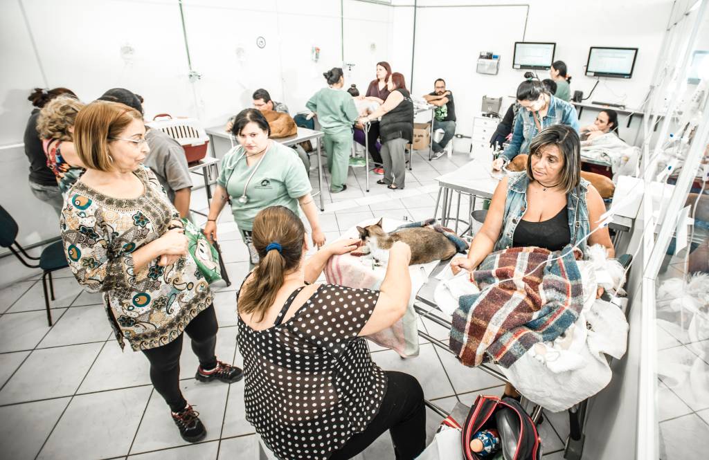 São Paulo deve ganhar terceiro hospital veterinário gratuito