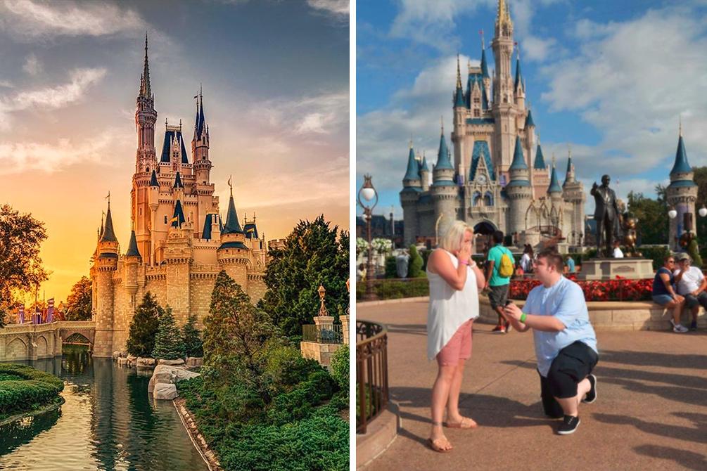Jovem é surpreendida por pedido de noivado e casamento na Disney