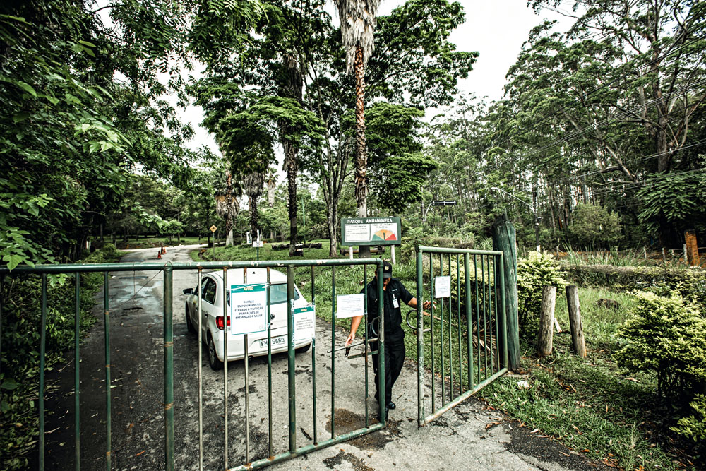 Prefeitura de São Paulo vai reabrir 27 parques