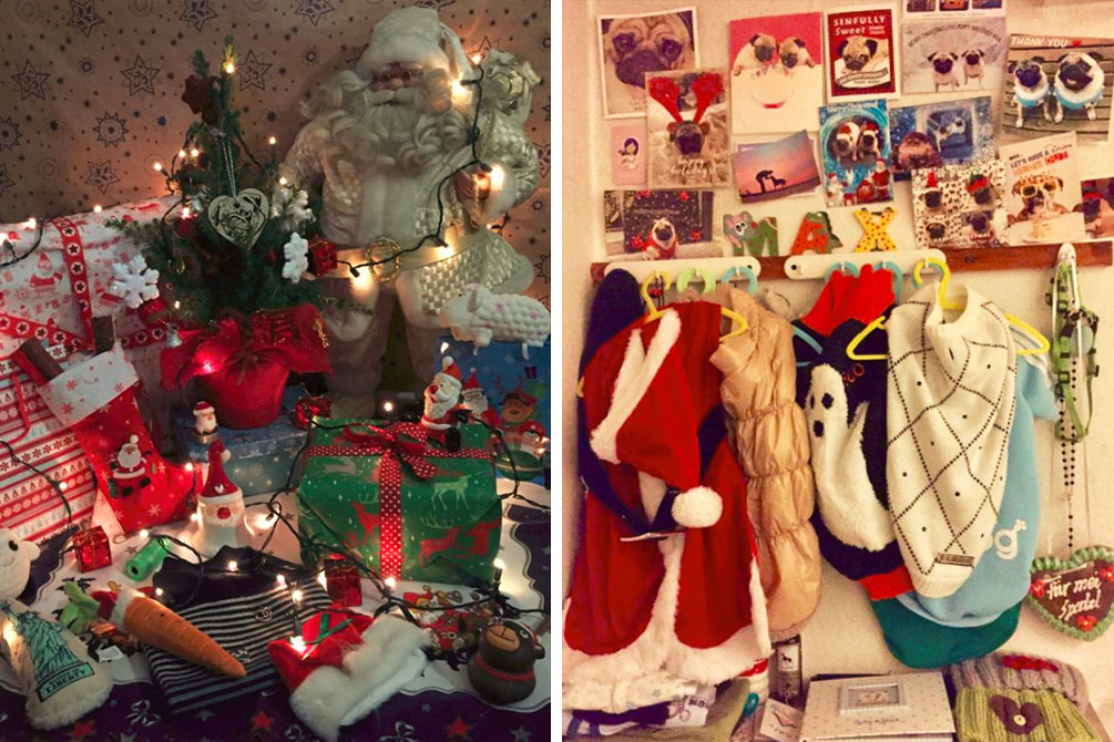 cachorro-mimos-presentes-natal-polemica-02