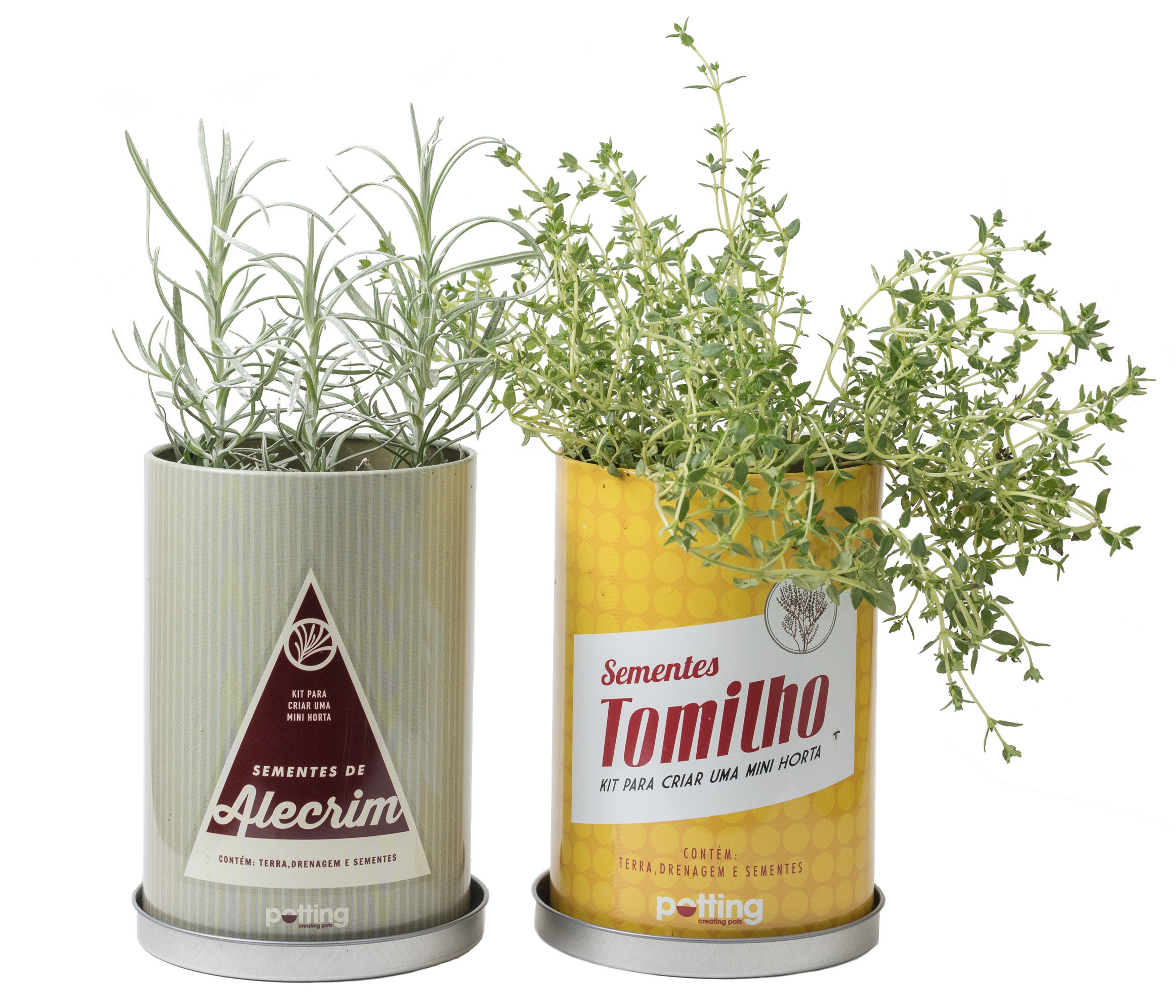 &bull;	Latas estampadas com kit de sementes, Casaquetem - R$ 52,00 cada uma. Uma sugest&atilde;o de Veja S&atilde;o Paulo. Pre&ccedil;o pesquisado em novembro/2017. www.casaquetem.com.br.