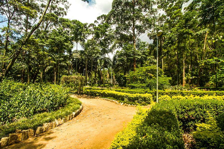 Serviços e curiosidades do bairro do Tatuapé