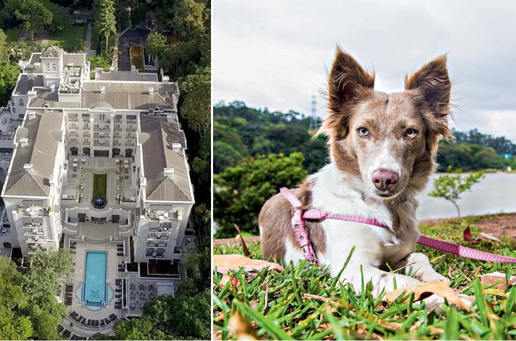 Quanto custa hospedar seu cão no Palácio Tangará