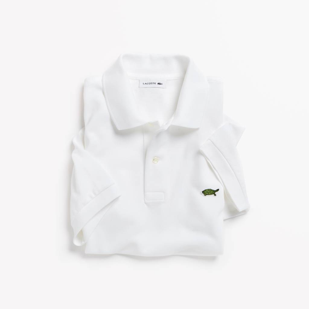 02. LACOSTE X SAVE OUR SPECIES (UICN)_THE BURMESE ROOFED TURTLE_PH4642