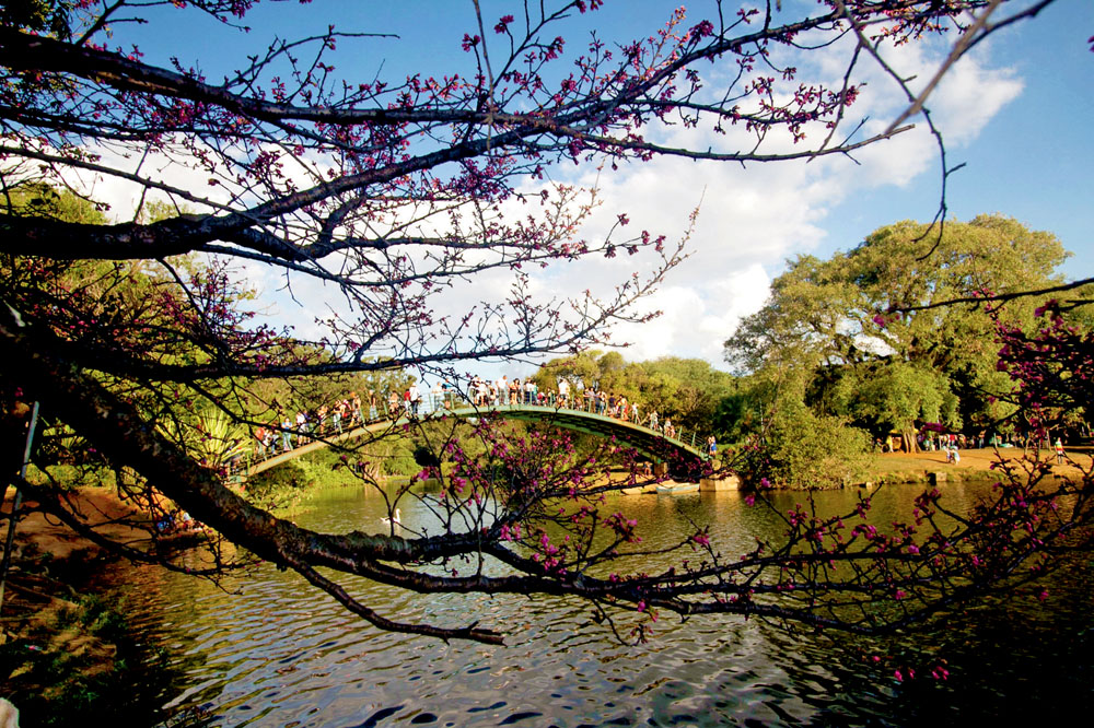 Troca de tiros na região do Ibirapuera tem dois feridos e refém, diz PM