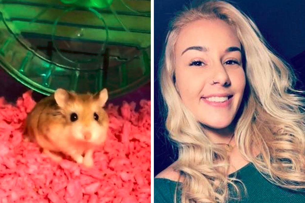 A morte de um hamster provocou polêmica em aeroporto americano