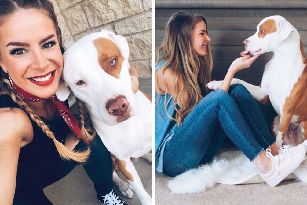 Mulher faz alerta assustador a donos de cachorros após morte de mascote