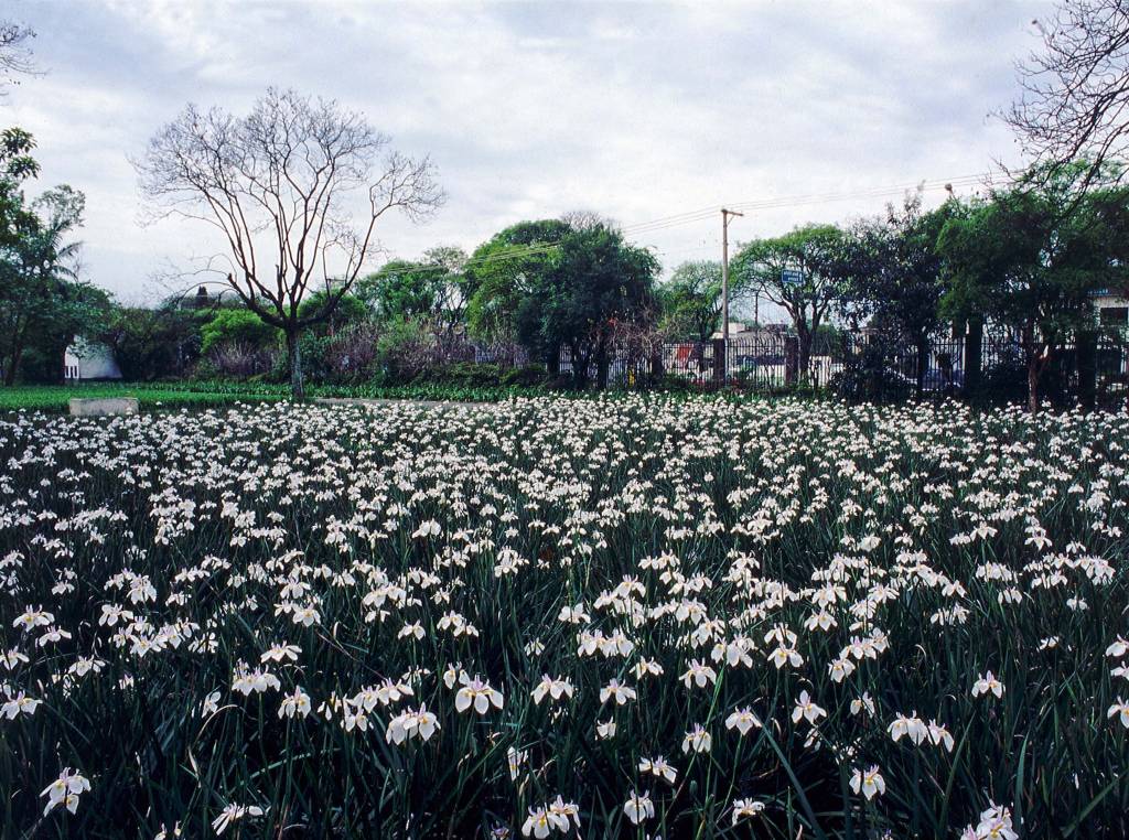 Ibirapuera pode ganhar restaurante anexo ao Manequinho Lopes
