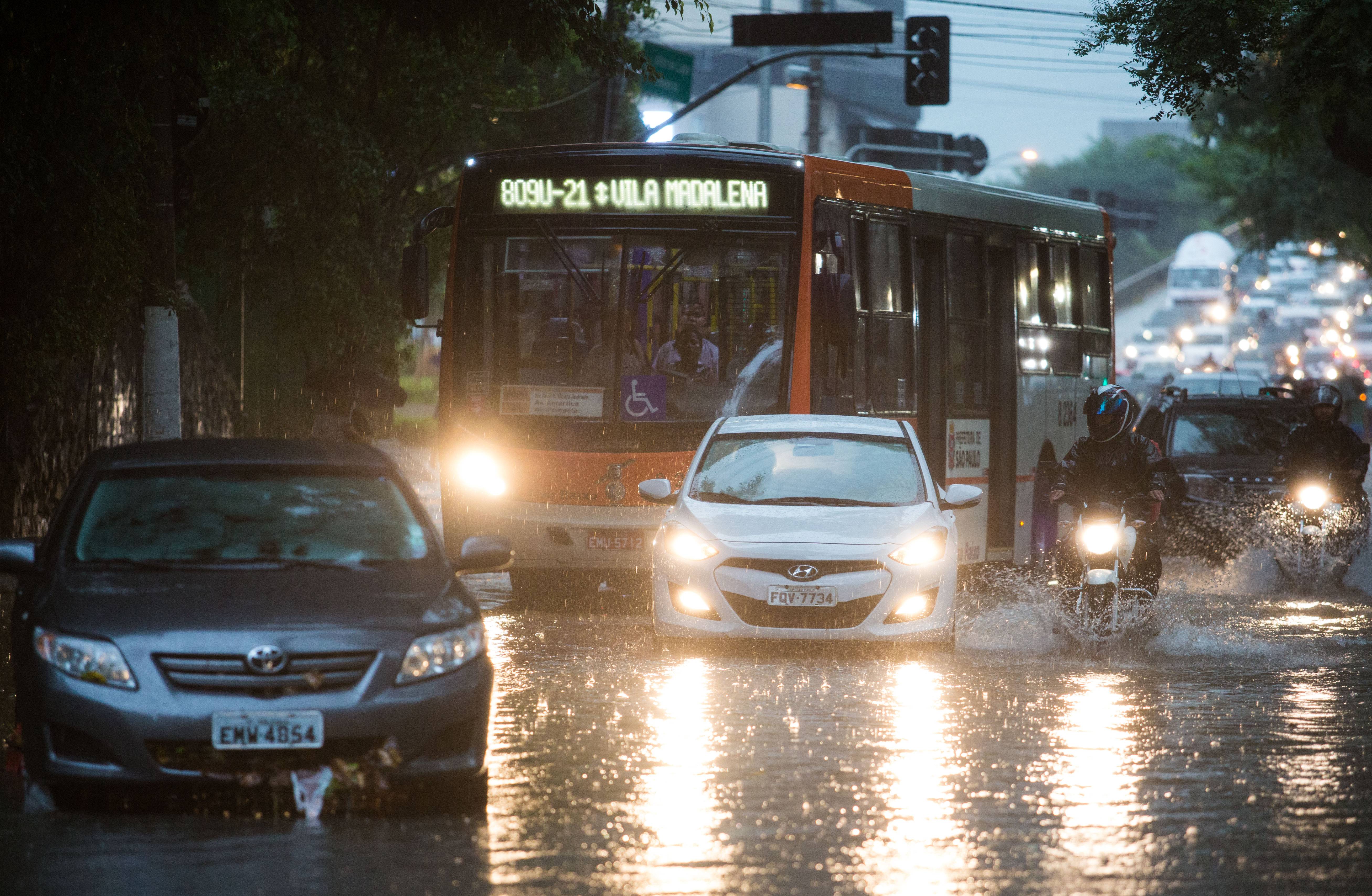 Chuvas causam queda de árvores e pontos de alagamento em São Paulo