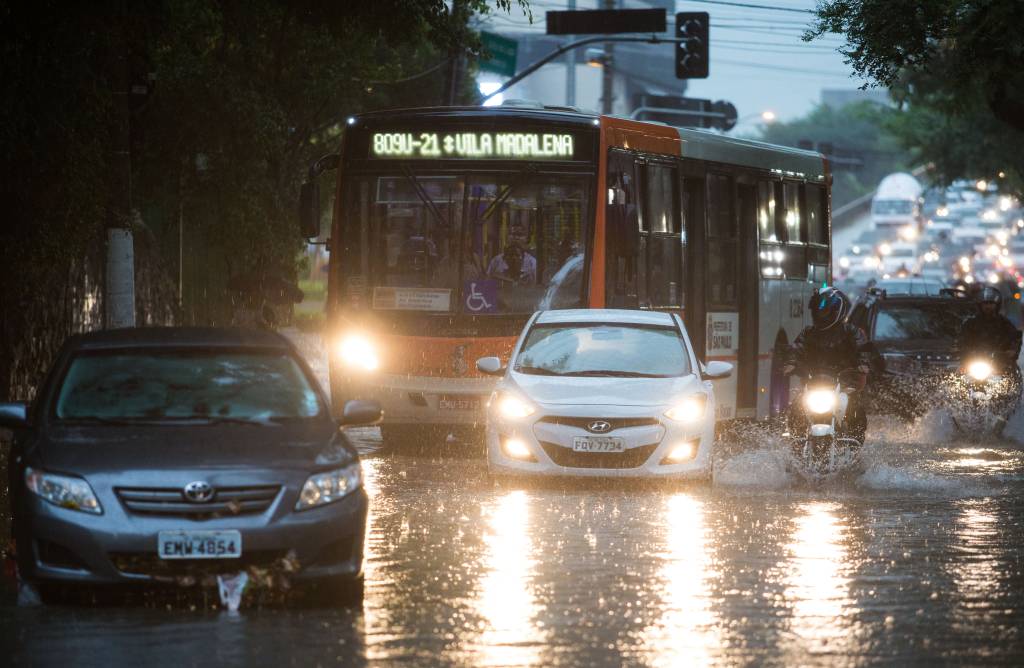 Temporal em São Paulo causa duas mortes e derruba 62 árvores