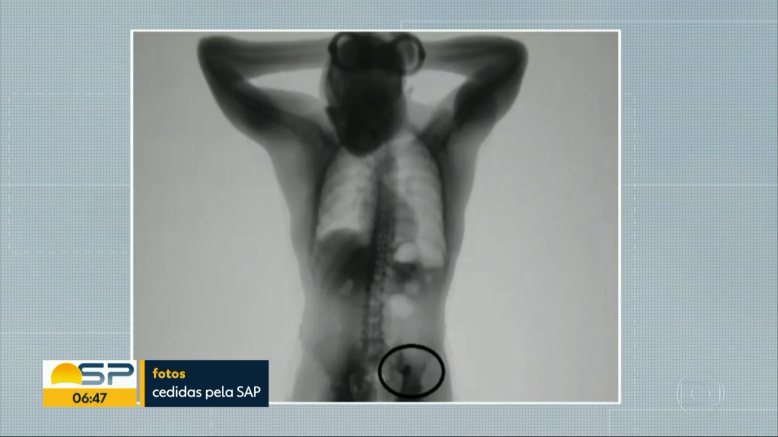 bocardi-gargalhadas-bom-dia-sp-03