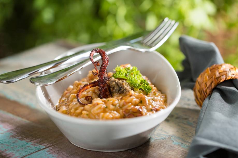 Risoto de Polvo Risoto de Polvo