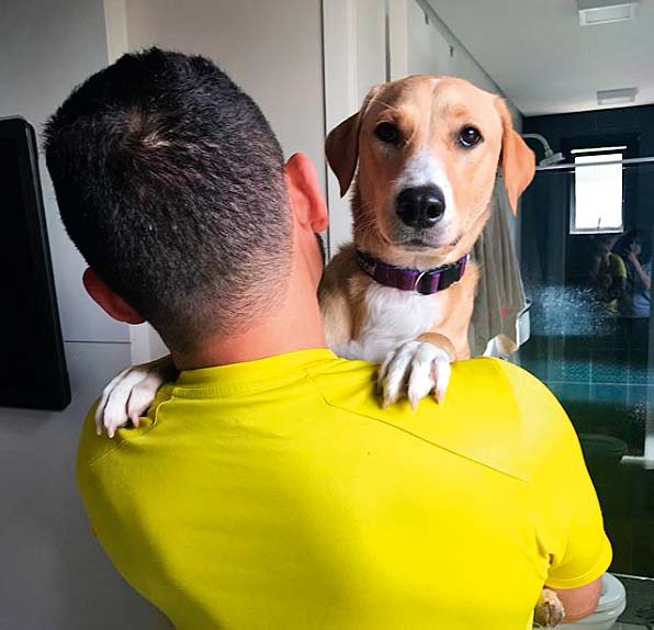 Meu Pet: conheça a cadela Bolota, encontrada na rua pelos donos