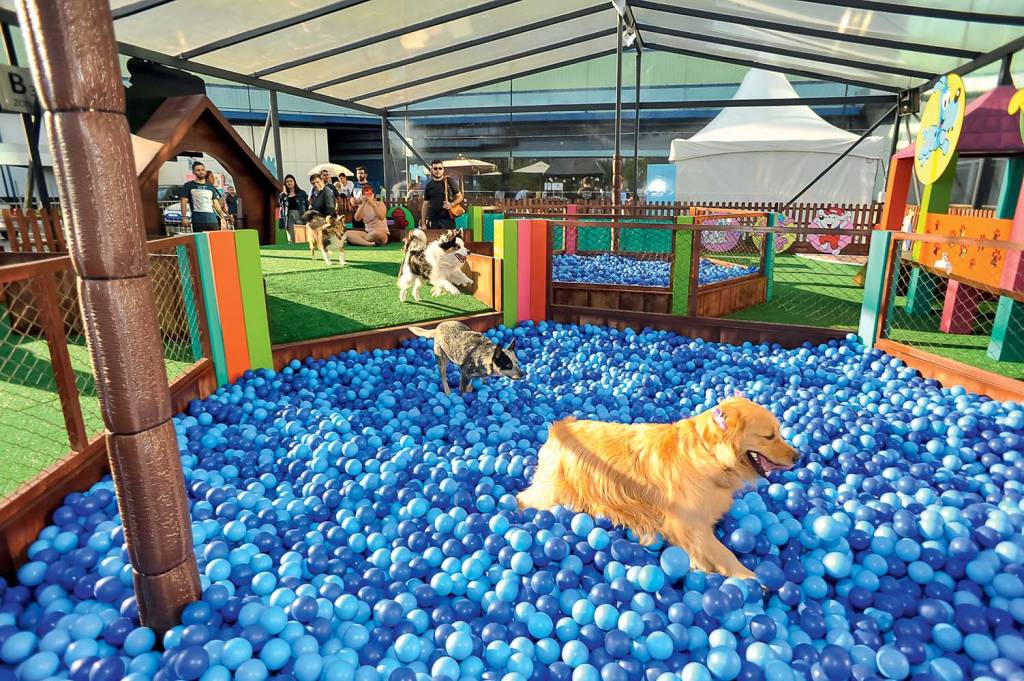 Shopping paulistano recebe espaço da Turma da Mônica para cães